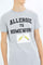 Redtag-Boys-Grey-Allergic-To-Homework-Graphic-Tee-BSR-T-Shirts,-Category:T-Shirts,-Colour:Grey,-Deals:New-In,-Dept:Boys,-Filter:Senior-Boys-(8-to-14-Yrs),-New-In-BSR-APL,-Non-Sale,-S23B,-Section:Boys-(0-to-14Yrs),-TBL-Senior-Boys-9 to 14 Years